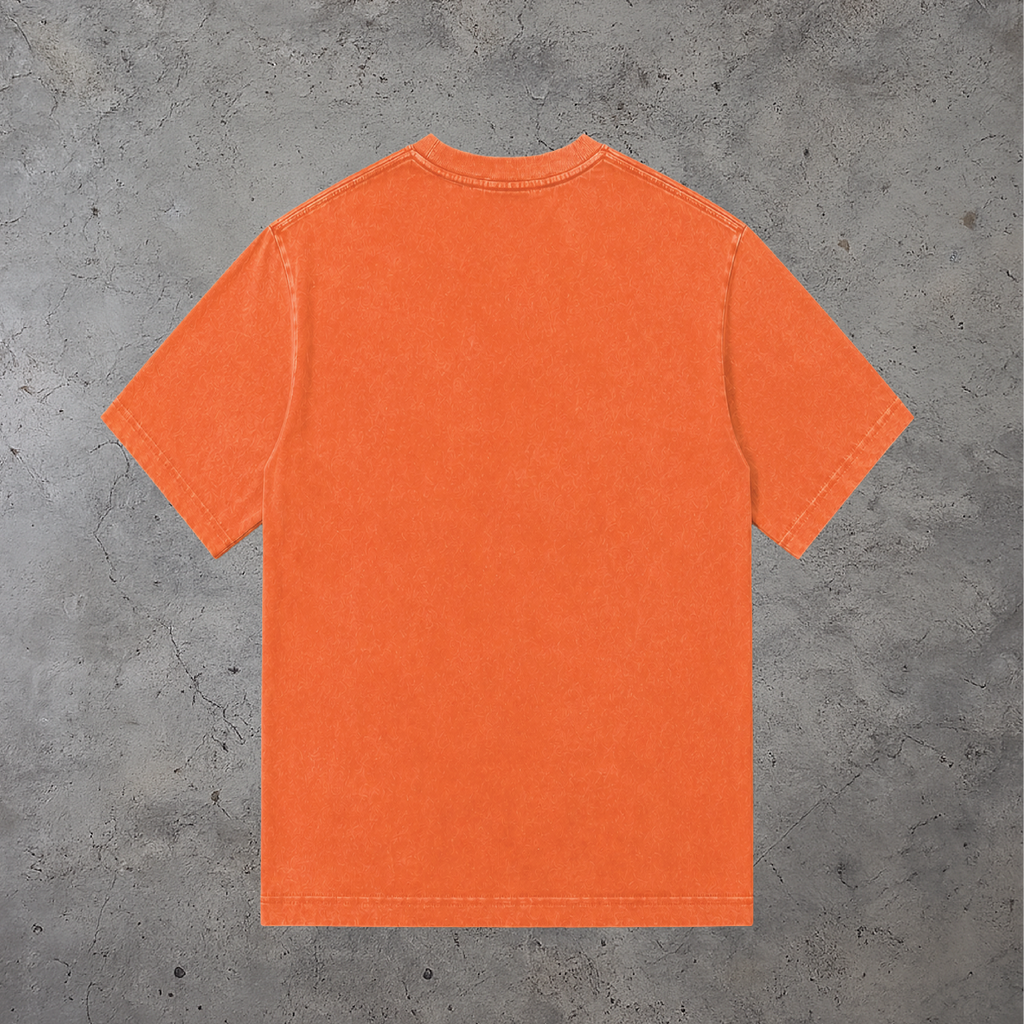 RLTY Collegiate Wash Tee