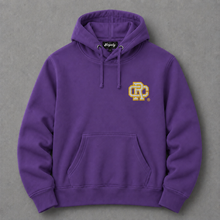 Load image into Gallery viewer, College Letterman Hoodie