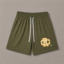 Load image into Gallery viewer, University Mesh Shorts