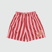 Load image into Gallery viewer, Stripes Mesh Shorts
