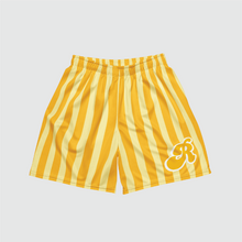 Load image into Gallery viewer, Stripes Mesh Shorts