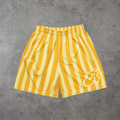 Stripes Mesh Shorts