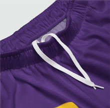 Load image into Gallery viewer, Outline Mesh Shorts