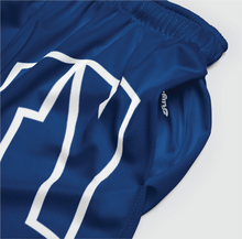 Load image into Gallery viewer, Outline Mesh Shorts