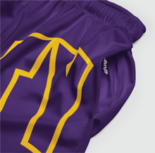 Load image into Gallery viewer, Outline Mesh Shorts