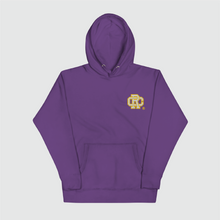 Load image into Gallery viewer, College Letterman Hoodie